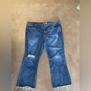 Terra & Sky Dark Blue Distressed Jeans